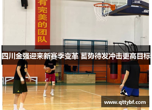 四川金强迎来新赛季变革 蓄势待发冲击更高目标